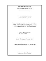 Phát triển thương mại bền vững trên địa bàn tỉnh Tuyên Quang (LV thạc sĩ)