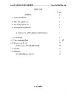 Phân dạng và các phương pháp giải bài toán về diện tích hình phẳng 