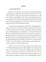 Một vài suy nghĩ về việc phát hiện, bồi dưỡng học sinh giỏi môn ngữ văn trung học phổ thông 