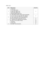 Một vài giải pháp tìm hiểu tính chất và mối liên hệ giữa các biểu thức có trong phương trình, bất phương trình vô tỷ định hướng cách giải nâng cao năng lực tự học cho học sinhTHPTQuan hóa 