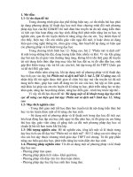 Sử dụng một số kĩ thuật trong dạy học tích cực để nâng cao hiệu quả bài phiên mã và dịch mã sinh học 12   nâng cao 