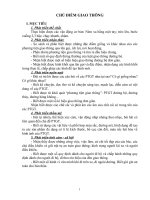 giao an tuan 30 giáo án mầm non lớp chồi chủ đề giao thông 