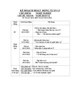 tuần 13 giáo án mầm non lớp chồi chủ đề nghề dịch vụ 