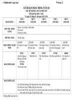 Tuần 4 (  giáo án mầm non lớp chồi chủ đề  tết) 