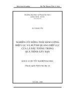 Nghiên cứu động thái hàm lượng diệp lục và huỳnh quang diệp lục của lá đậu tương trong quá trình gây hạn (Khóa luận tốt nghiệp)