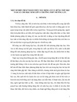 Kết hợp một số biện pháp để cụ thể hóa những nội dung tronh tâm trong chương trình con 