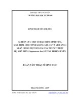 Nghiên cứu một số đặc điểm hình thái, sinh thái, hoạt tính kháng khuẩn và khả năng nhân giống 1 số loài cây thuốc thuộc họ Màn màn (Capparaceae Juss.) ở tỉnh Thái Nguyên (LV thạc sĩ)