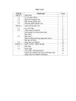 Sử dụng định lý vi et cho hai bài toán về phương trình bậc hai và quy về bậc trong chương trình lớp 10 THPT 