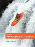 Principles of risk management and insurance 11th reida mcnamara 