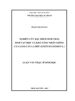Nghiên cứu đặc điểm sinh thái, sinh vật học và khả năng nhân giống của loài cây lá Bép (Gnetum Gnemon L.) (LV thạc sĩ)