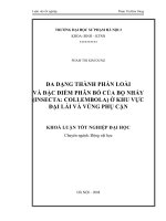 Đa dạng thành phần loài và đăc điểm phân bố của bọ nhảy (Insecta: Collembola) ở khu vực Đại Lải và vùng phụ cận (Khóa luận tốt nghiệp)