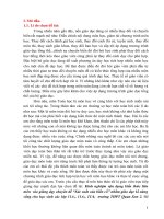 Kinh nghiệm vận dụng kiến thức liên môn vào dạy chuyên đề xác suất biến cố nhằm giáo dục kỹ năng sống cho học sinh khối 11 ở trường THPT quan sơn 2 