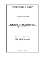 Kinh nghiệm giúp học sinh nhận dạng qui luật di truyền chi phối trong một số bài tập lai thường gặp 