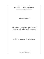 Phương trình hàm Cauchy và một số biến thể của nó (LV thạc sĩ)