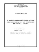 Sự thích ứng của thanh niên nông thôn di cư làm việc tại các khu công nghiệp, khu chế xuất hiện nay tt 