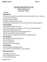 Giáo án mầm non lớp chồi trường mầm non của bé t1 