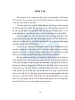 Đo lường mức độ hài lòng của doanh nghiệp về chất lượng dịch vụ kê khai thuế qua mạng tại cục thuế tỉnh hậu giang (tt) 