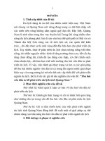 Thu hút vốn đầu tư để phát triển du lịch tỉnh quảng nam (tt) 