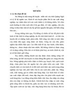 Phát triển nông nghiệp trên địa bàn huyện trà bồng, tỉnh quảng ngãi (tt) 
