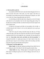 Hoàn thiện chính sách xuất khẩu của tỉnh savanakhet (tt) 