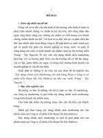 Xây dựng chính sách marketing cho mặt hàng rượu ở công ty cổ phần cồn rượu hà nội (halico) tại khu vực miền trung – tây nguyên (tt) 