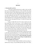 Tăng cường kiểm soát nội bộ chu trình mua hàng và thanh toán tại công ty cổ phần dệt may 293 (tt) 