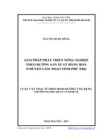 Giải pháp phát triển nông nghiệp theo hướng sản xuất hàng hóa ở huyện Lâm Thao tỉnh Phú Thọ (LV thạc sĩ)