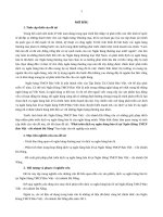 Phát triển dịch vụ ngân hàng bán lẻ tại ngân hàng TMCP bảo việt   chi nhánh đà nẵng (tt) 