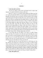 Hoàn thiện kế toán quản trị chi phí ở công ty cổ phần trường thịnh (tt) 