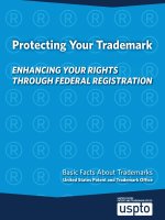 Protecting Your Trademark  ENHANCING YOUR RIGHTS THROUGH FEDERAL REGISTRATION