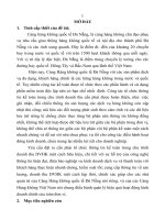 Hoàn thiện tổ chức thông tin kế toán trong chu trình doanh thu dịch vụ hàng không tại cảng hàng không quốc tế đà nẵng (tt) 