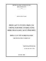 Phân lập và tuyển chọn các chủng loại nấm mốc có khả năng sinh Cellulase cao ở Vĩnh Phúc (Khóa luận tốt nghiệp)