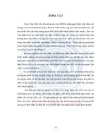 Thực trạng và giải pháp hoàn thiện kênh phân phối sản phẩm khoai lang của tỉnh vĩnh long (tt) 