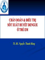 CHẨN ĐOÁN & ĐIỀU TRỊ SỐT XUẤT HUYẾT DENGUE Ở TRẺ EM