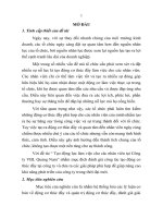 Tạo động lực làm việc cho các nhân viên tại công ty VBL quảng nam (tt) 