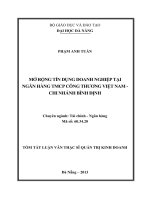Mở rộng tín dụng doanh nghiệp tại ngân hàng TMCP công thương việt nam – chi nhánh bình định (tt) 