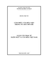 Cảm thức văn hóa việt trong tùy bút đỗ chu 