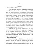 Kế toán quản trị chi phí tại cảng hàng không quốc tế đà nẵng (tt) 