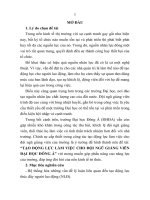 Tạo động lực làm việc cho đội ngũ giảng viên đại học đông á (tt) 