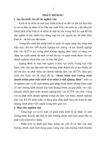 Hoàn thiện môi trường kinh doanh nhằm phát triển kinh tế tư nhân ở tỉnh quảng bình (tt) 