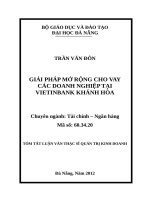 Giải pháp mở rộng cho vay các doanh nghiệp tại vietinbank khánh hòa (tt) 