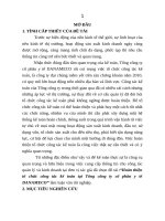 Hoàn thiện tổ chức công tác kế toán tại tổng công ty cổ phần y tế DANAMECO (tt) 