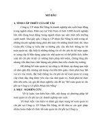 Kế toán quản trị chi phí tại công ty cổ phần nhựa đà nẵng (tt) 