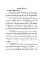 Vận dụng mô hình CAPM beta zero trong đo lường rủi ro hệ thống của các cổ phiếu ngành thép tại sở giao dịch chứng khoán thành phố hồ chí minh (tt) 