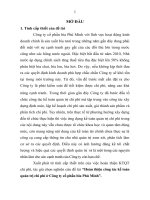 Hoàn thiện kế toán quản trị chi phí ở công ty cổ phần bia phú minh (tt) 