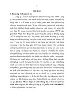 Hoàn thiện tổ chức thông tin kế toán trong chu trình bán hàng và thu tiền tại công ty cổ phần PYMEPHARCO (tt) 