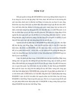 Pháp luật về đấu giá quyền sử dụng đất được nhà nước giao đất, cho thuê đất (tt) 