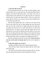 Phát triển nguồn nhân lực tại bưu điện tỉnh quảng ngãi (tt) 