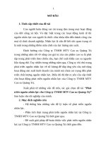 Phát triển nguồn nhân lực cho công ty TNHH MTV cao su quảng trị (tt) 