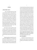 Tổ chức báo cáo KTQT tại công ty cổ phần đầu tư và kinh doanh thép nhân luật (tt) 